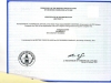 BVI˾