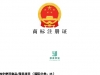 上海商标注册不予受理原因及处理