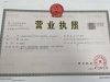 个体户与公司，哪个更优？