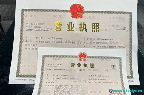 上海公司注册指南丨附注册公司流程和材料