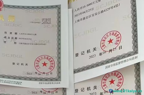 上海注册公司常见的公司注册地址有哪些（实地注册和园区注册公司区别）