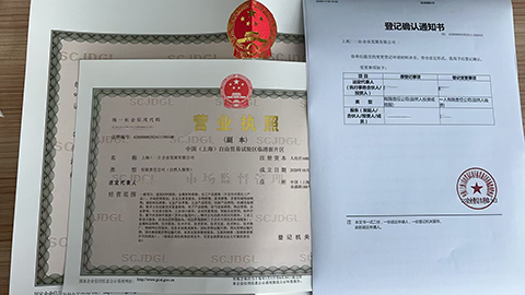 上海公司营业执照股权变更流程完整指南(含避坑秘籍)