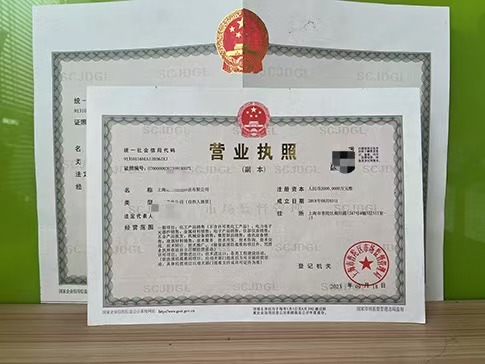 上海怎么办理公司营业执照?