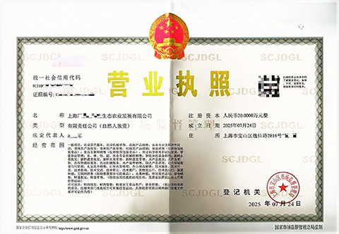 上海生态农业营业执照办理的具体步骤
