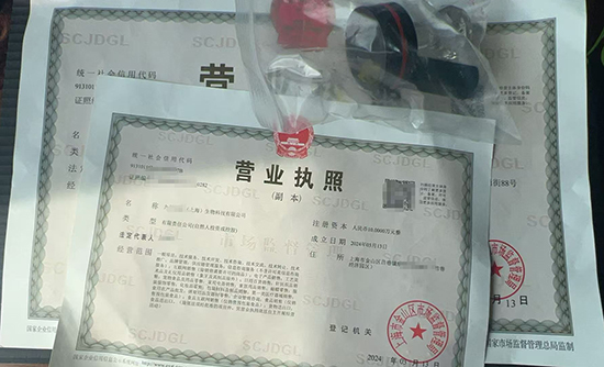 宝山区内资公司注册流程及材料