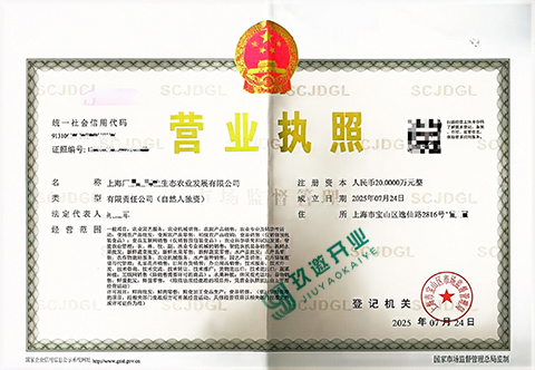 上海有限公司注册如何办理?