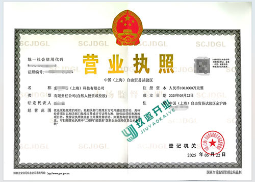如何在上海设立外资全资子公司