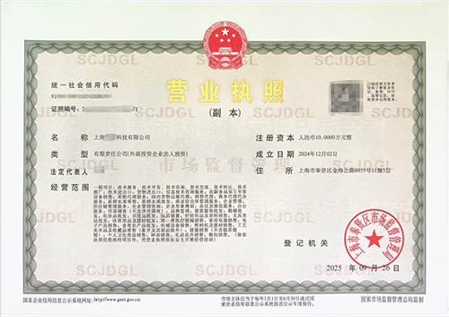 上海注册科技公司有什么优势?手把手教你走通“一网通办”